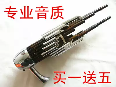 Professional boutique 17 Reed sound musical instrument Ebony Sheng foot brass electroplating amplifier tube professional audition