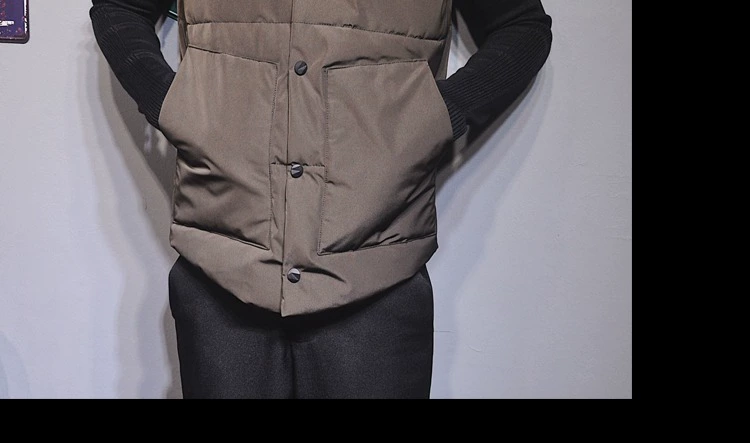 Mùa đông nam mới xuống cotton vest nam tự canh vest không tay áo đứng cổ áo vest thanh niên ấm áp ao khoac vest nam