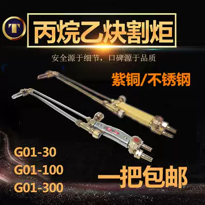 Taixing copper G01-30 100 300 type fire suction cutting torch cutting knife stainless steel oxygen cutting gun
