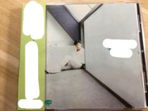  Alan Tam Summer Cold Wind CD Record