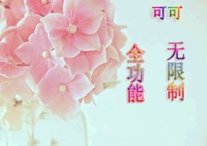 Cocoa cashier pos new version upgrade (arbitrary version of data one minute no distortion repair)