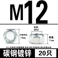 M12 (20)