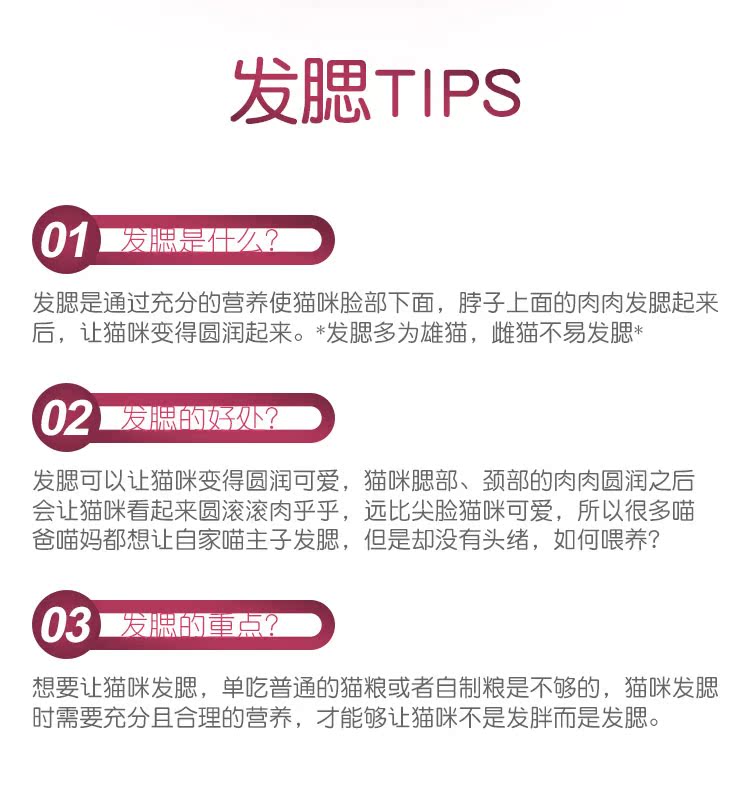 Mèo mật, vỗ béo, lông, thịt bò, mèo, mèo, thức ăn, Anh, lông ngắn, lông lớn, thịt dài, mỡ, thức ăn cho mèo, 10kg - Cat Staples thức ăn cho mèo me-o có tốt không