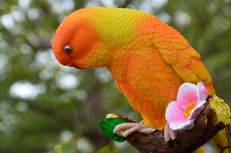 Trồng trọt thiết kế cảnh quan điêu khắc mô hình toucan mô phỏng cây vẹt trang trí chim nhựa thủ công đồ dcor chụp ảnh