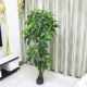 Cây giả cây may mắn mô phỏng cây sàn chậu trong phòng khách lớn bonsai hoa giả nhựa hoa trang trí mô phỏng cây xanh - Hoa nhân tạo / Cây / Trái cây