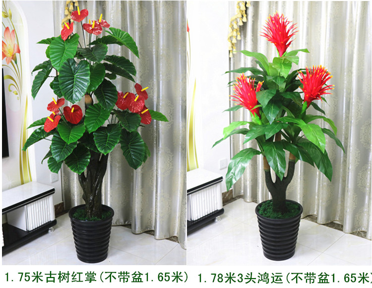 Cây giả hoa anthurium hoa giả chậu trồng cây sàn lớn cây xanh phòng khách trong nhà hoa trang trí mô phỏng cây nhựa hoa - Hoa nhân tạo / Cây / Trái cây cây hoa giả