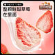 [Three Squirrels_Chocolate Freeze-Dried Fruits]Strawberry, Mango, Durian Freeze-Dried Snacks with Coating
