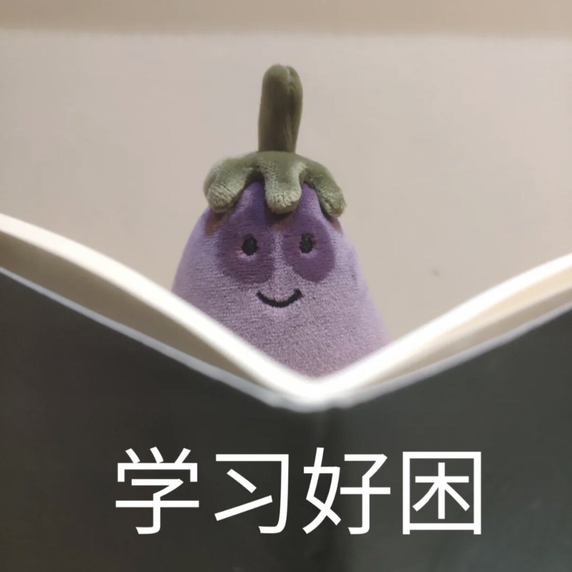 Net red book eggplant total doll doll birthday gift for boys, girlfriends, best friends, a pair of decompression, funny and funny Tanabata gifts