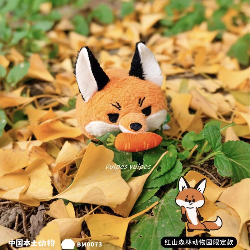[New Arrival] Authentic Red Fox from Nanjing Hongshan Forest Zoo, Limited Edition for the Park