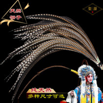 Opera Lingzi Jingyue Henan Opera Wu Sheng Wu Dan Hua Lingzu costume dance drama natural wild mountain pheasant feather pheasant tail