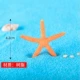 Оранжевая пентагональная морская звезда