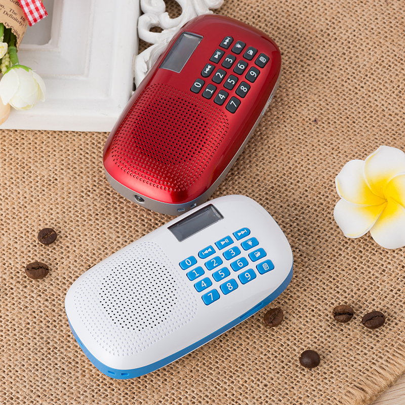 ROYQUEEN Longqin X360 portable card small speaker Mini outdoor portable player radio sound