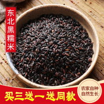 2021 Northeast black sticky rice 500g farmhouse Self-planting new blood glutinous rice stuffed rice dumplings black rice rice dough