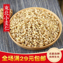 2021 Northeast wheat rinn 500g New wheat wheat grain farmhouse Self-production of five cereals Cereals Cooked Porridge Peeled Wheat Rice