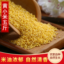2021 Northeast New Yellow Millet 5 Jin Edible Millet Farmers Eat Millet Rice