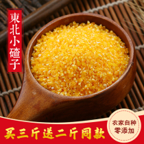 2020 Northeast New Xiaoduzi 500g Heilongjiang Corn Dregs Farmers Self-planted Coarse Grain Fresh Corn Grits