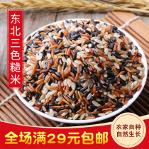 2021 Northeast three-color brown rice 5kg farmhouse self-planting porridge rice low-fat fitness coarse grains whole grains new rice