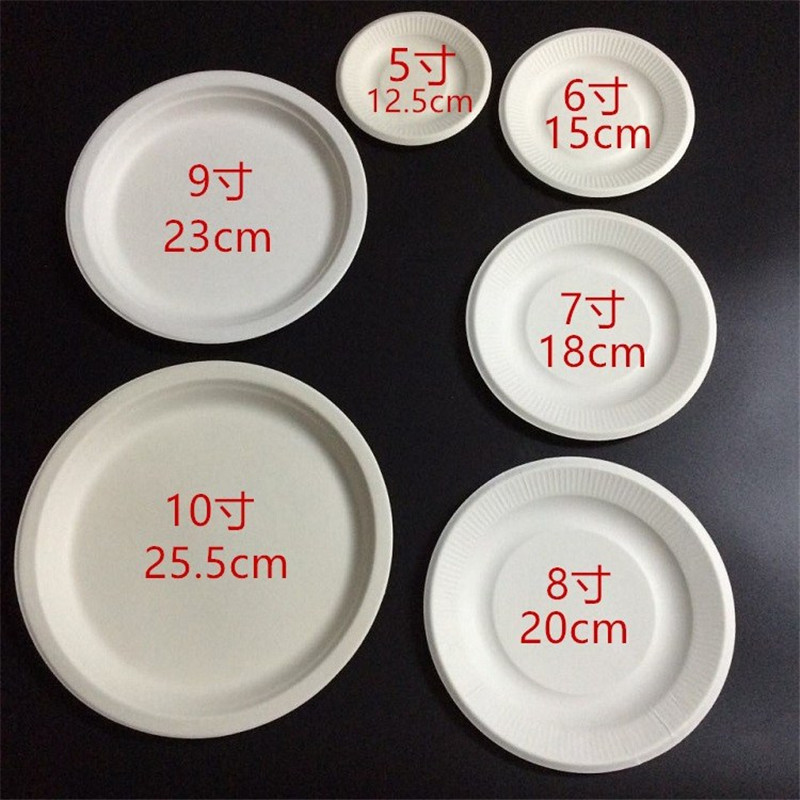 Paper Plates, Disposable Plates, Thickened Hard White Round Dinner Plates, Barbecue, Kindergarten Painting and Drawing