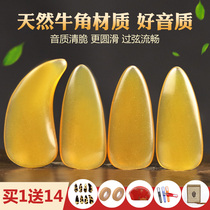 Zi Yin tortoiseshell childrens guzheng nails horns natural adult professional performance groove hands children play guzheng