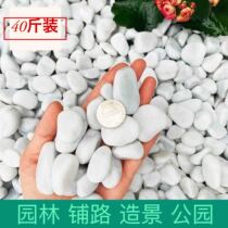 Small white stone White pebbles Courtyard park garden paving stone stone fleshy paving stone