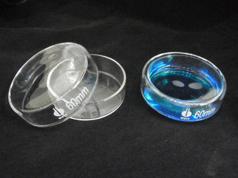 60mm 6cm glass culture dish bacterial culture dish thickened GG-17 material mechanism transparent and neat