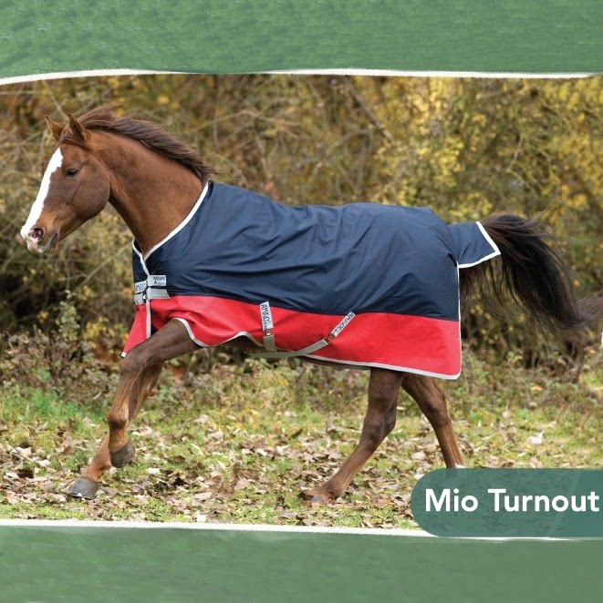 Irish AMIGO Spring and Autumn Horse Coat Thin Warm Horse Coat Training Horse Coat Breathable Horse Coat Rainproof Windproof Horse Jacket