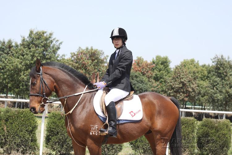 Article sports equestres - Ref 1378263 Image 16