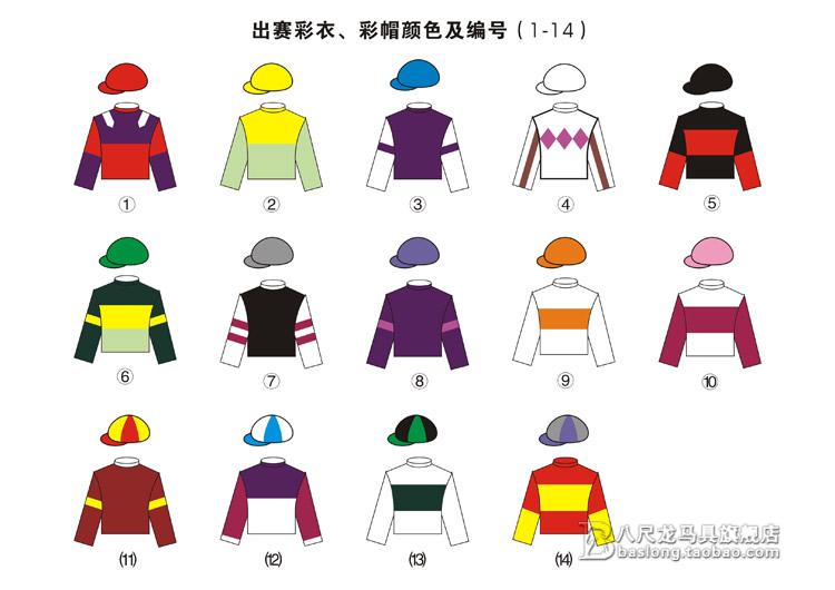 Article sports equestres - Ref 1381715 Image 22