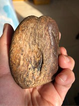 Heilongjiang natural red grass flower jade cypress jade raw stone carving material ornaments jade transparent 200g