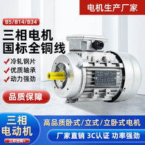 Three-phase asynchronous motor JW7114 6322 aluminium shell 250370750 W vertical 1400 swivel horizontal 380V