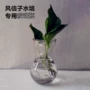 Hyacinth củ thủy canh chai hoa thủy tinh lọ thủy tinh Hyacinth chai thủy tinh màu xanh - Vase / Bồn hoa & Kệ bình gốm cắm hoa đào