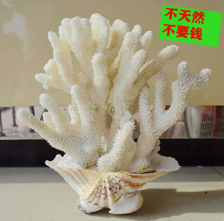 天然珊瑚摆件超大珊瑚花枝礁骨鱼缸造景饰品家居酒店海边装饰摆设 天然珊瑚摆件超大珊瑚花枝礁骨鱼缸造景饰品家居酒店海边装饰摆设