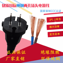 Pure copper two-core plus coarse power supply plug line 1 0 squared square single head black tool plug line