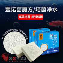  Yinuo bacteria cube square brick filter material Aquarium filter material fish tank bacteria house culture bacteria square brick nitrifying bacteria
