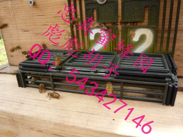 中蜂养殖GN箱 <wbr>多功能蜂箱囚雄收王分蜂笼 <wbr>隔王板 <wbr>防逃门栅 <wbr>霸王笼