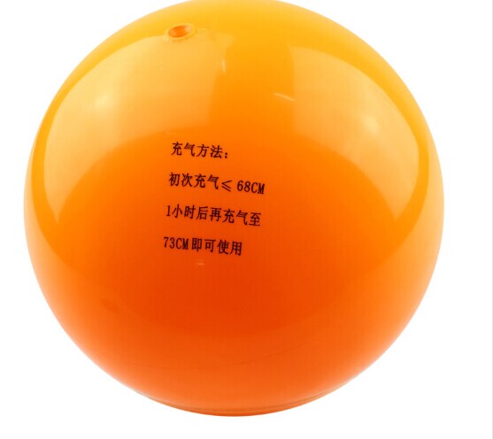 Ballon de volley - Ref 2011082 Image 9