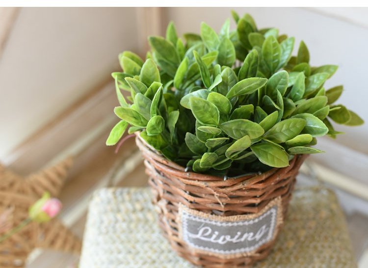 Cây mô phỏng cây cảnh nhỏ giỏ hoa giả chậu trồng cây trong nhà phòng khách trong nhà cây xanh để bàn trang trí hoa đặt đồ trang trí - Hoa nhân tạo / Cây / Trái cây bình hoa giả trang trí phòng khách