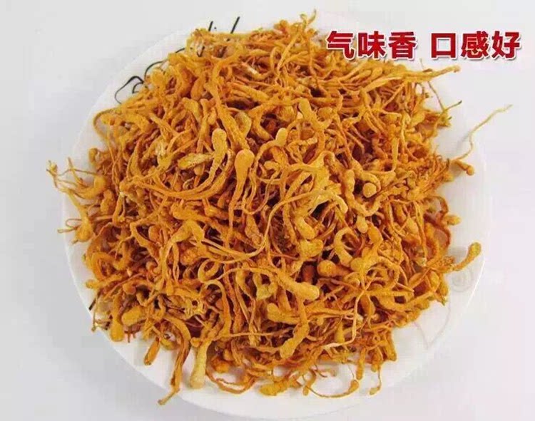 Worm Grass Flower Special Class North Caterpillar Fungus Planter Head Selected Farma Pupa Caterpillar Fungus Dry Goods Golden North Caterpillar Fungus Flowers 500 gr