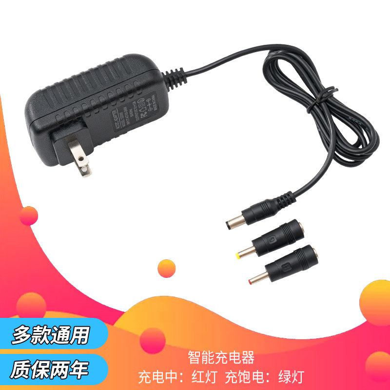 Smart Five Strings 5 Strings 18650 Lithium Battery Charger Polymer Charger 18V 18V 18 5V 21V1A