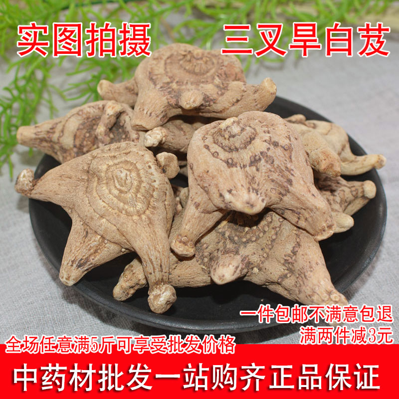 Chinese medicine plate 500 grams of wild trigon dry white and mild powder