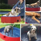 Ванна, складной бассейн, домашний питомец, кот