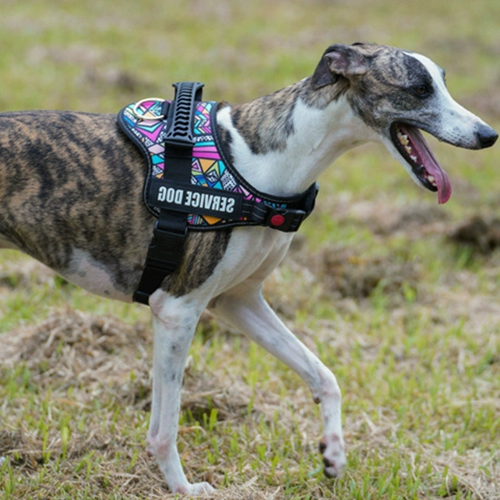 Держатель на груди для собаки, детская сумка, борзая, уиппет, маленькая собака, большой ошейник для собаки, поводок, веревка, плечевой ремень, ночные светоотражающие товары для домашних животных