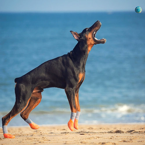Туфли, нескользящий дорожный шнурок-держатель, носки, спортивная обувь, подходит для подростков