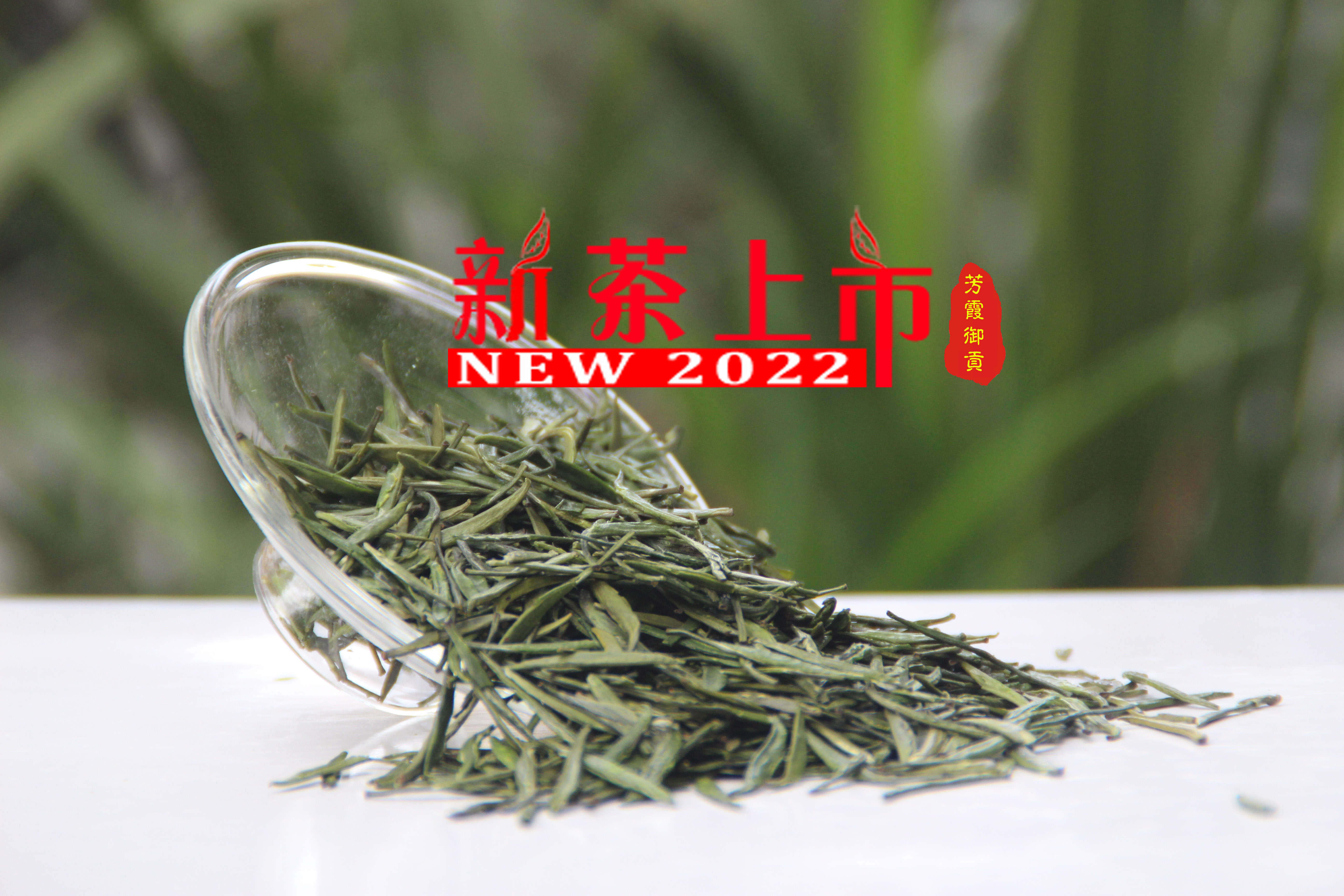 Boutique Qingxiang Bamboo bud -2022 years New green tea Xinjin Lao character number tea Zhuang Fang Xia's goon card -50g