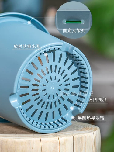 Alice Color Deepot Basin Deep Laste Большой -диаметром крупные розовые круги Lotus Alice Plastic Callron