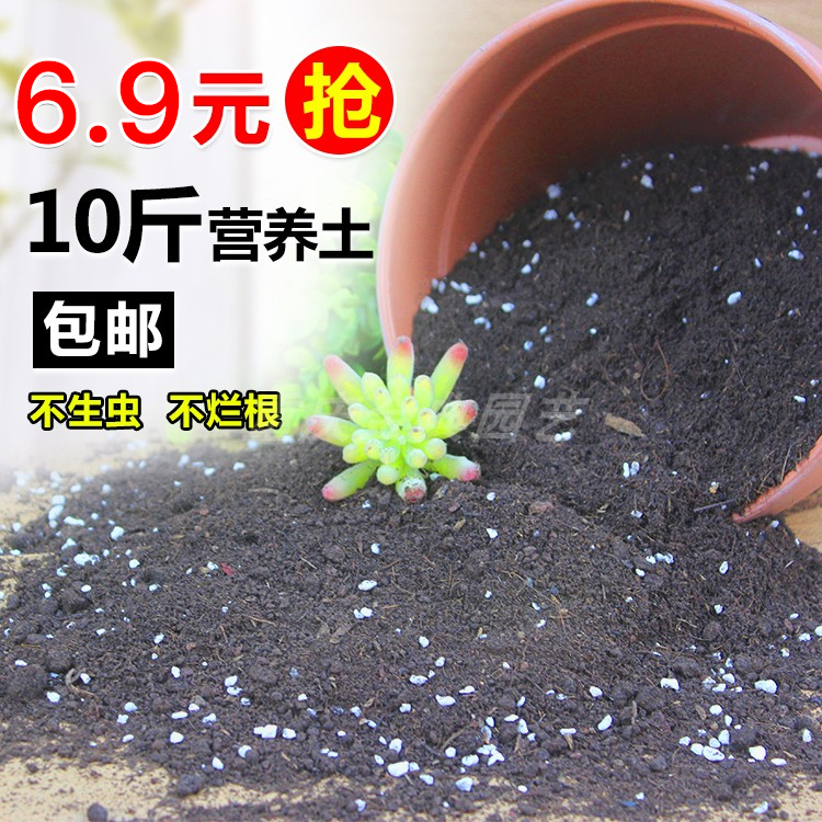 Special nutrient soil flower fertilizer for multi-meat potted general vitality granular soil humus soil flower soil planting soil