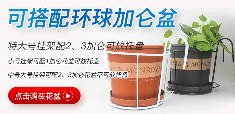 thanh lý kệ sắt trồng rau Làm Vườn Hoa Sắt Rèn Giá Treo Hoa Thép Giá Treo Ban Công Lan Can Hoa Tròn Móc Treo Giá Treo Hoa Thì Là Xanh Kệ kệ để trồng cây kệ trồng hoa