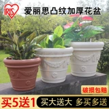 [爱丽思IRIS凸纹加厚树脂花塑料花盆欧式阳台花园家庭种花种树盆栽]