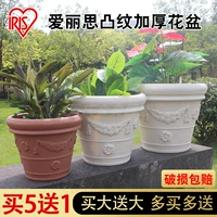 Алиса радужная оболочка выпукла