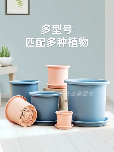 Alice Color Deepot Basin Deep Laste Большой -диаметром крупные розовые круги Lotus Alice Plastic Callron